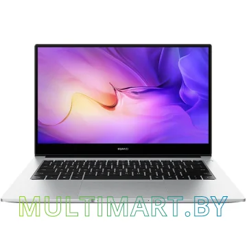 Ноутбук Huawei MateBook D 14 2021 NbD-WDH9 (53013ERM)